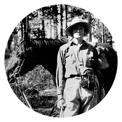 Dorothy Hill
