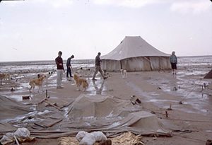 Diana Kirkbride (far right) at Umm Dabaghiya in 1971 after a desert storm. 
