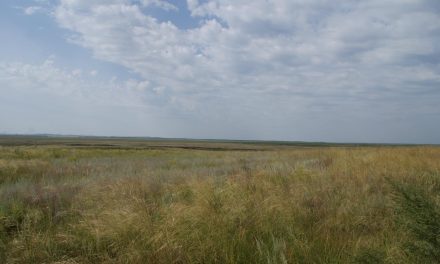 Steppe Sisters