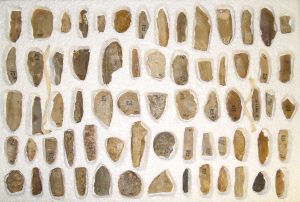 Sixty-seven flint flakes and fragments, excavated at Maccia a Mare. Donated to the British Museum by Dr Elise Baumgärtel in 1935. Released under CC BY-NC-SA 4.0 license. © The Trustees of the British Museum. https://www.britishmuseum.org/collection/image/268953001